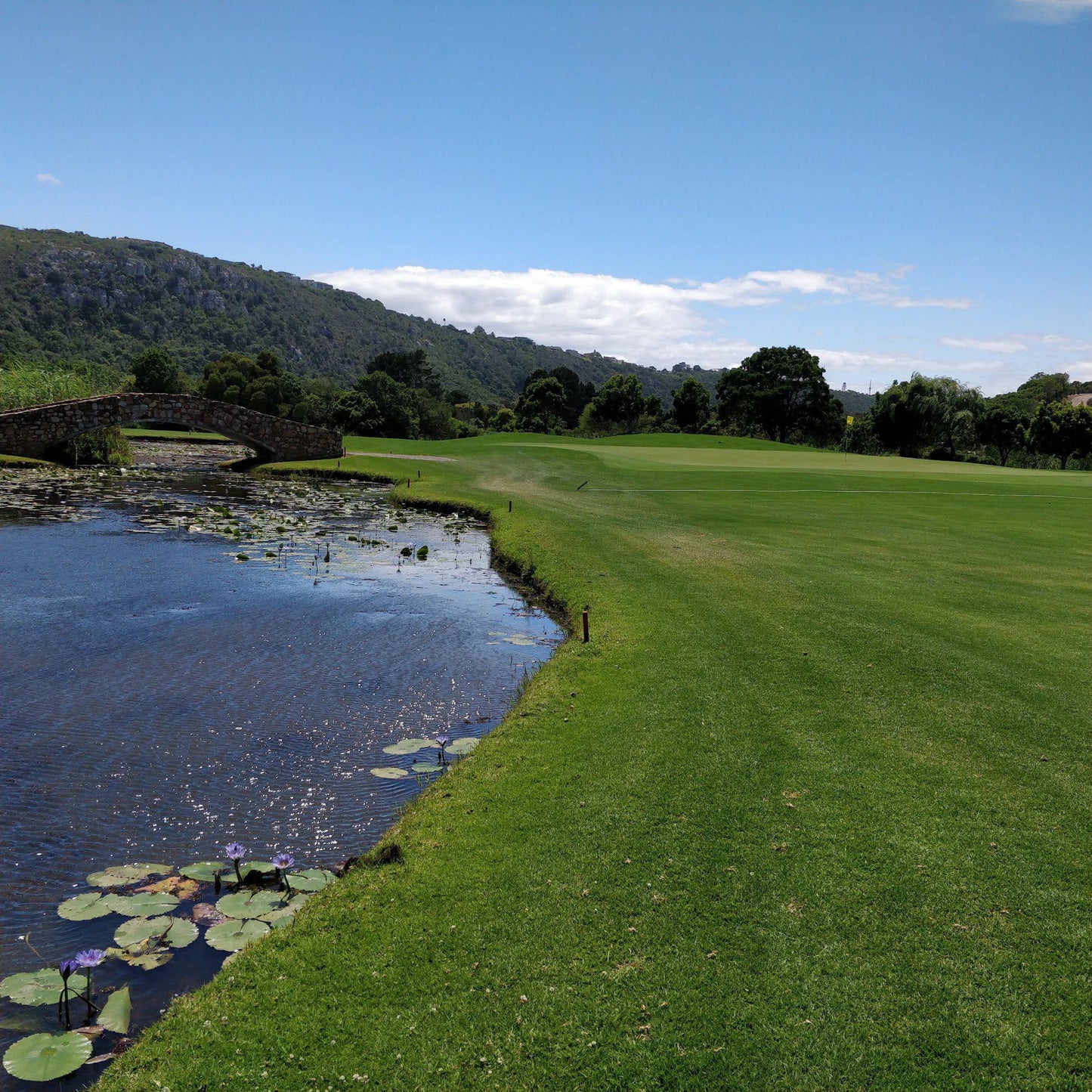 Nature, Complementary Colors, Ball Game, Sport, Golfing, Waters, River, Plettenberg Bay Country Club, Plettenberg Bay, 6600