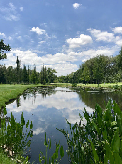 Nature, Complementary Colors, Ball Game, Sport, Golfing, Waters, River, Royal Johannesburg, 1 Fairway Ave, Linksfield North, Johannesburg, 2192