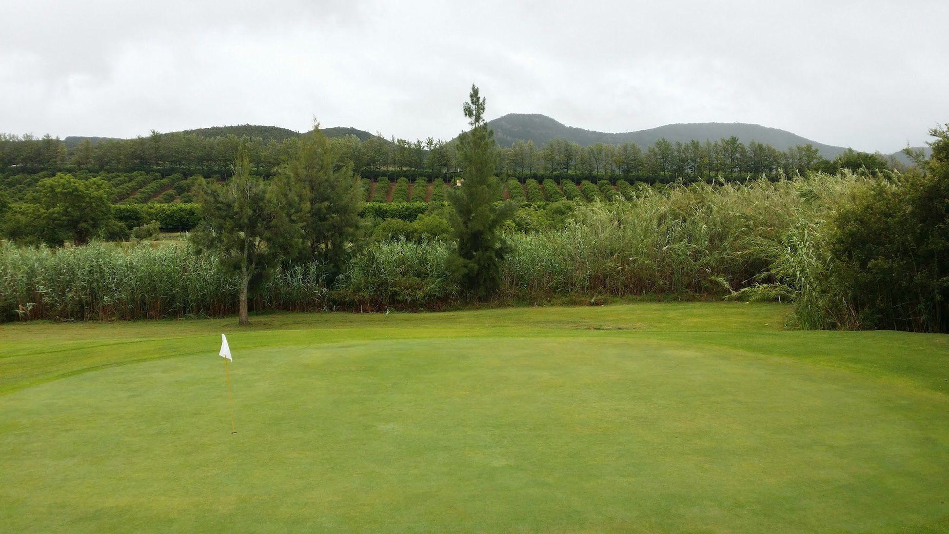 Nature, Highland, Ball Game, Sport, Golfing, Plant, Garden, Hankey Golf Club, Klein River Rd, Hankey, 6350