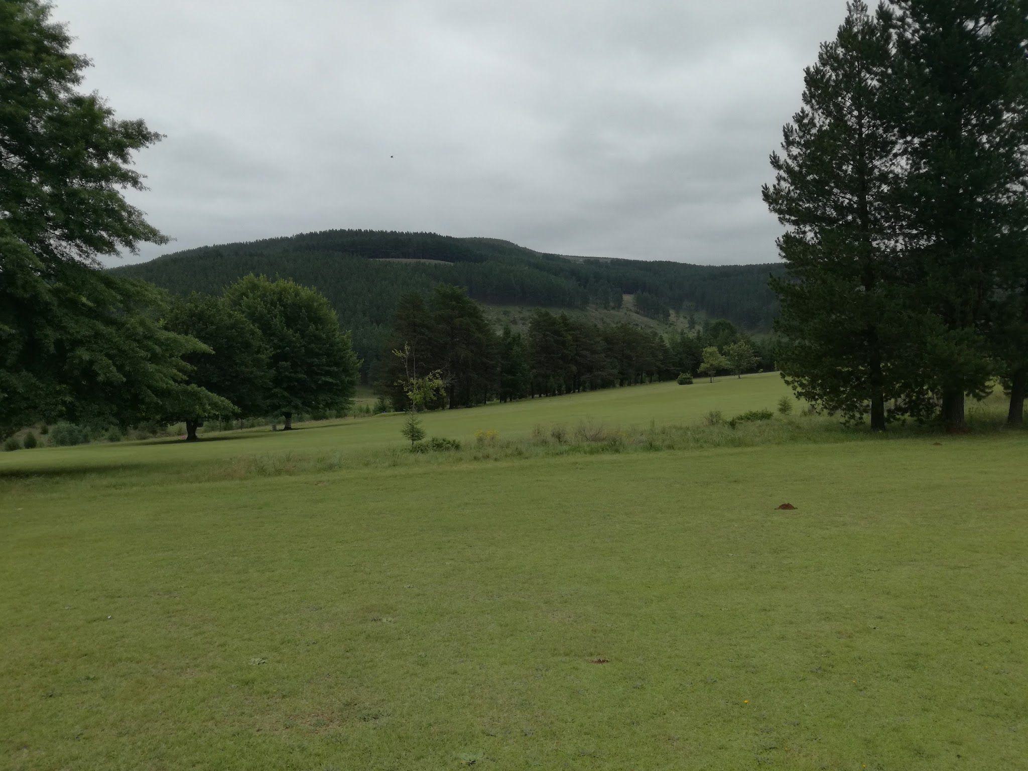 Nature, Highland, Ball Game, Sport, Golfing, Plant, Wood, Meadow, Forest, Tree, Maclear Golf Course, Maclear, Nqanqarhu, 5480