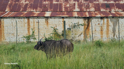  Natuurreservaat Mpofu