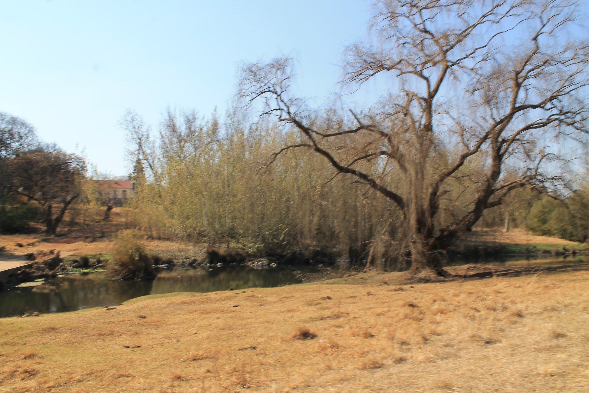  Ndebele Cultural Village