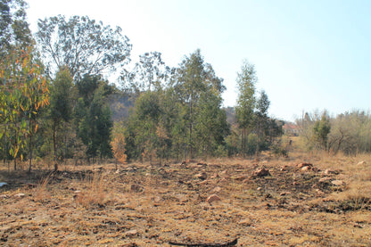  Ndebele Cultural Village