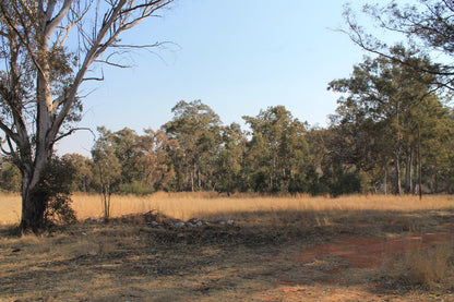  Ndebele Cultural Village