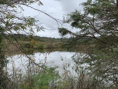  Nduli Nature Reserve