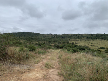  Nduli Nature Reserve