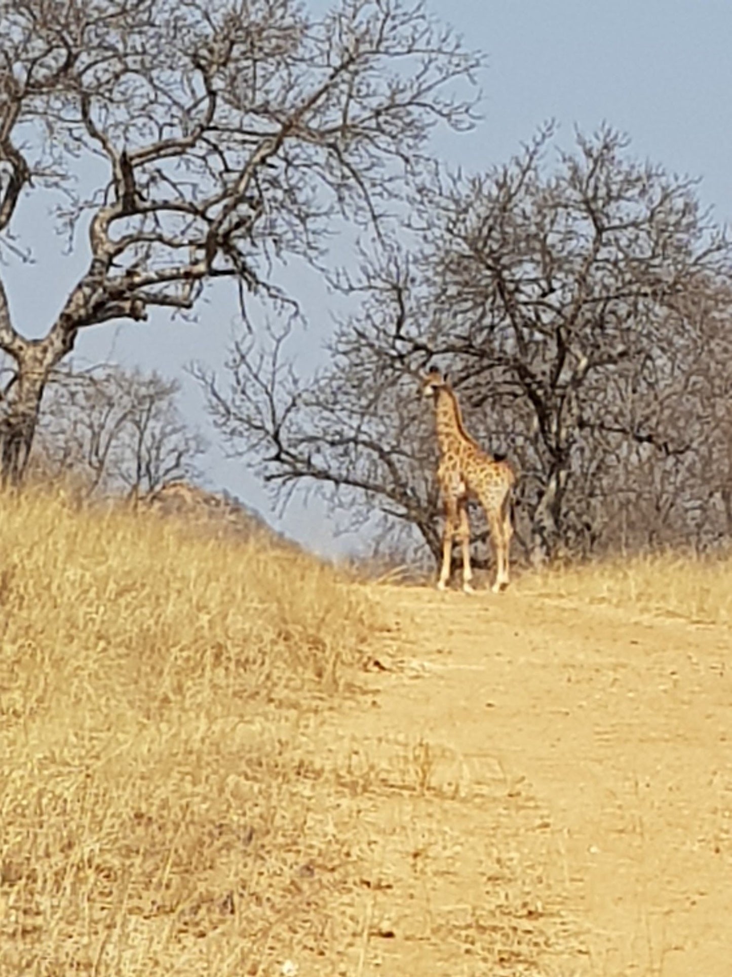  Ndzalama Wildlife Reserve