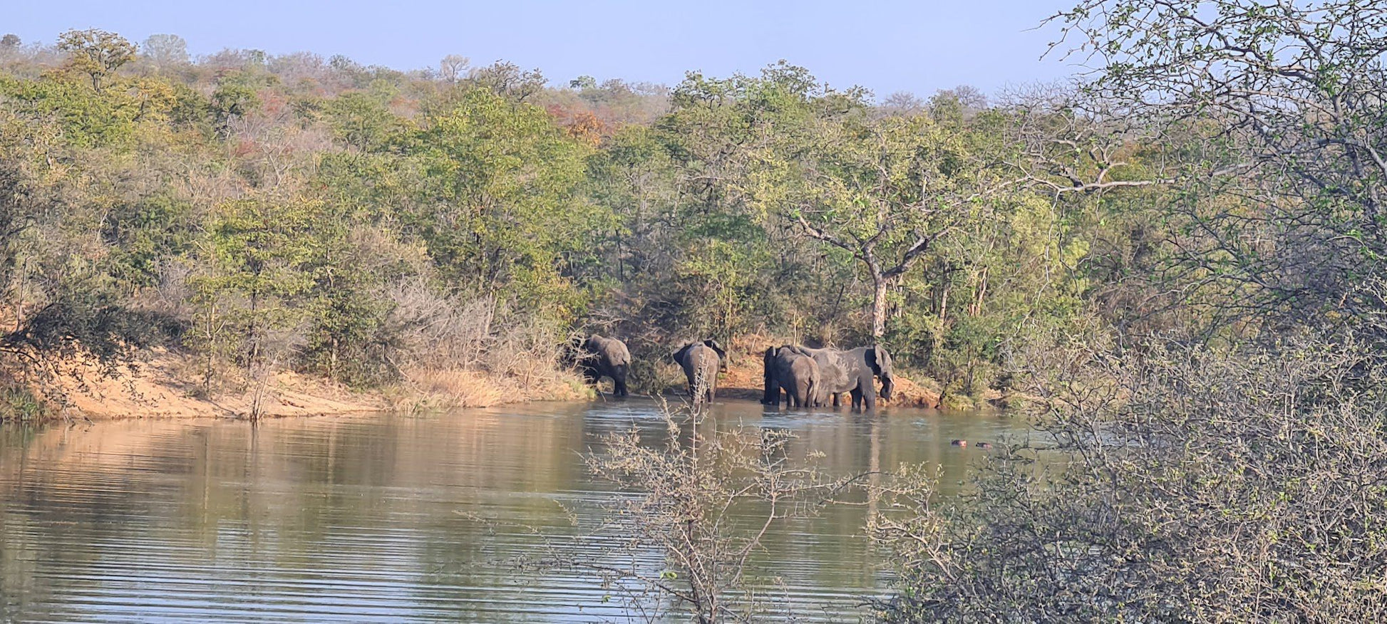  Ndzalama Wildlife Reserve