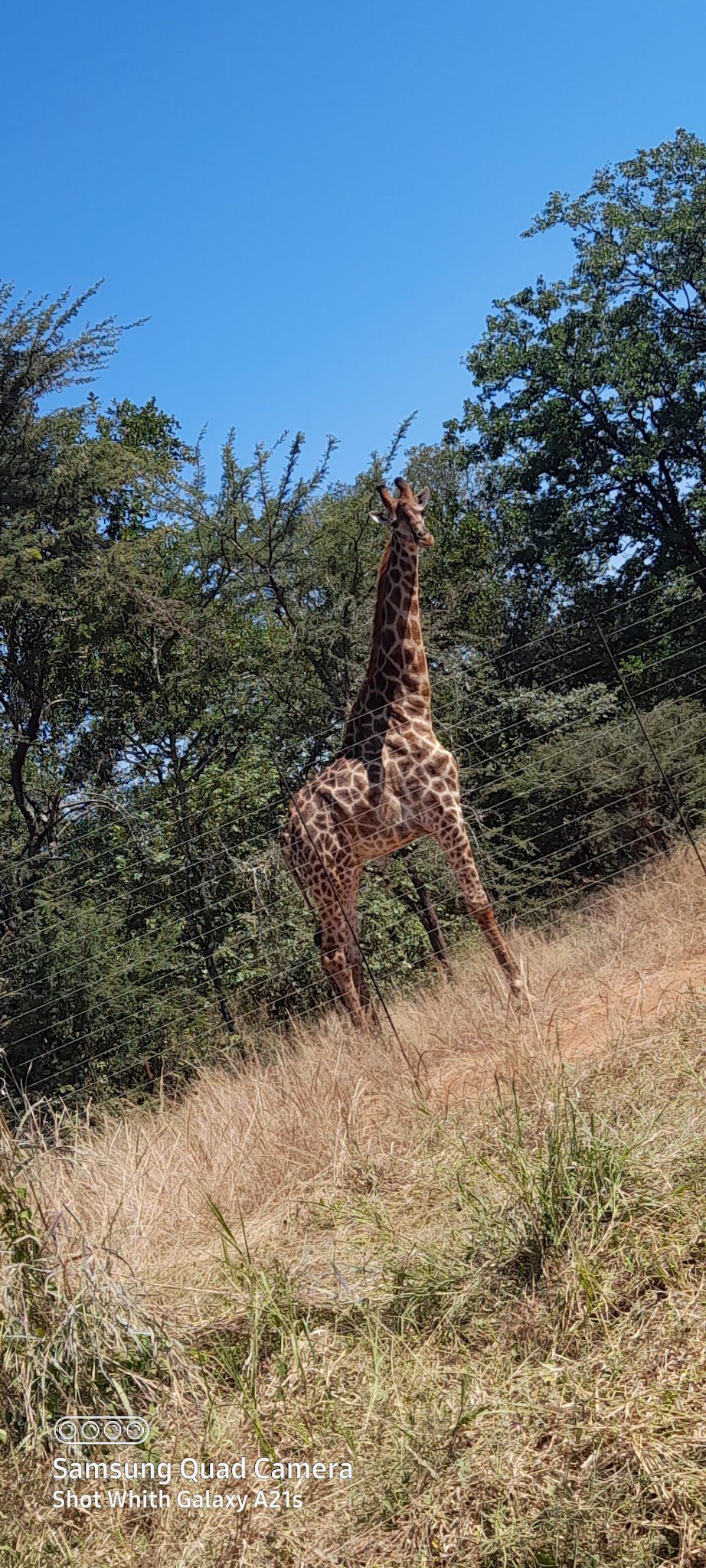  Ndzalama Wildlife Reserve