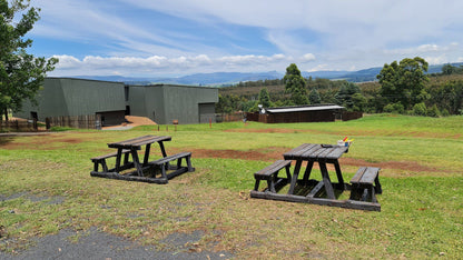  Nelson Mandela Capture Site