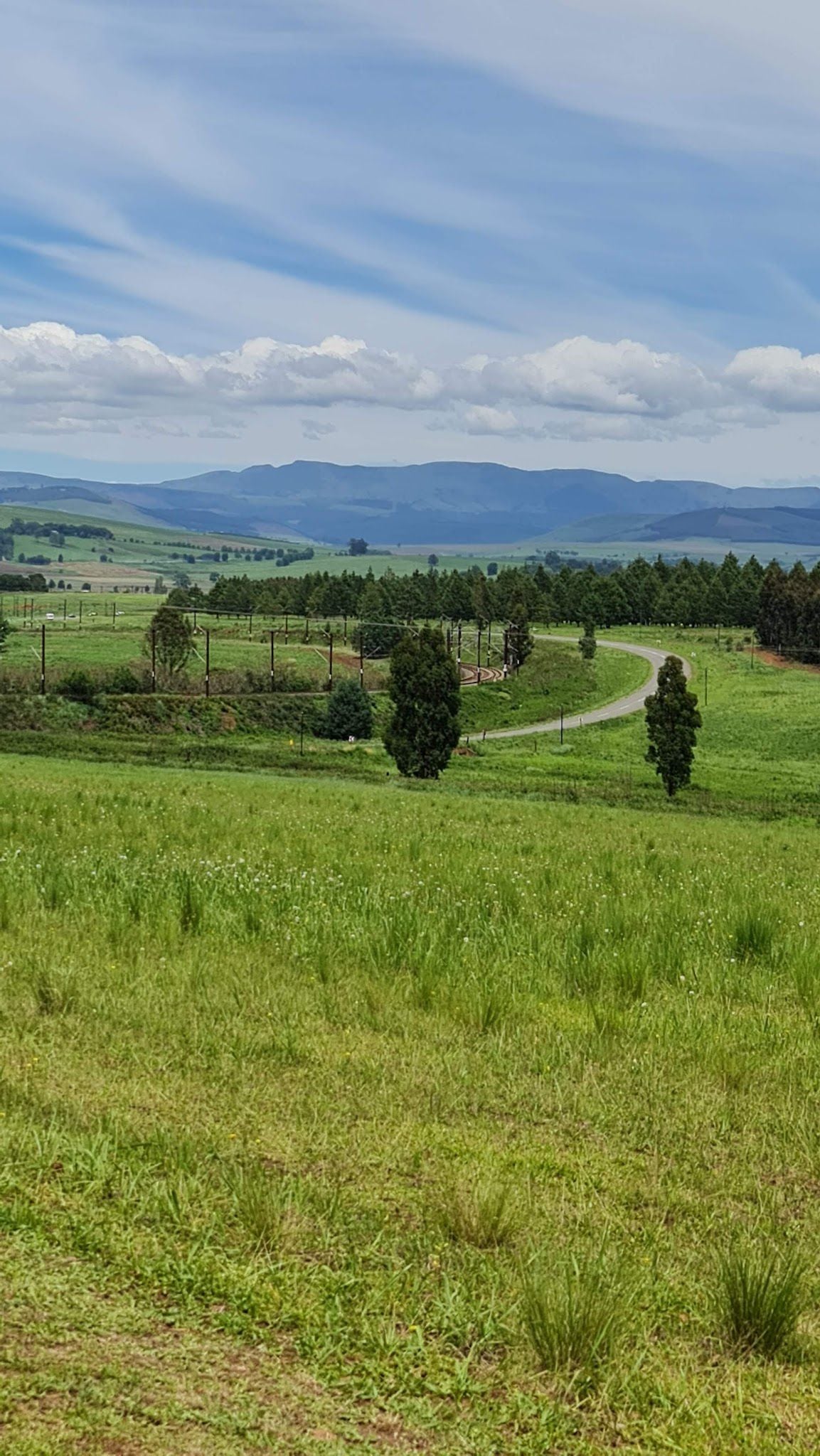  Nelson Mandela Capture Site