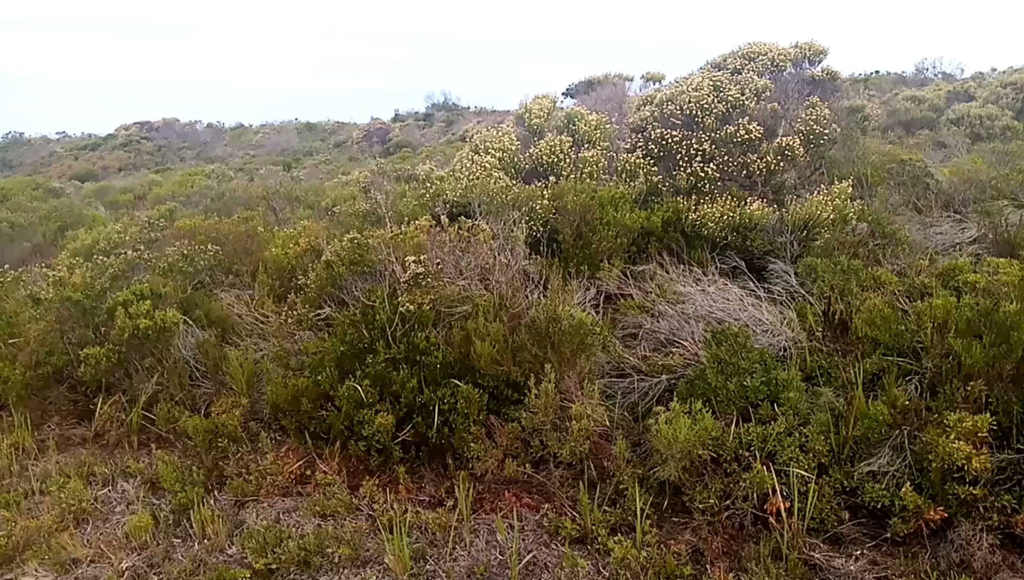  Nelson Mandela University Nature Reserve