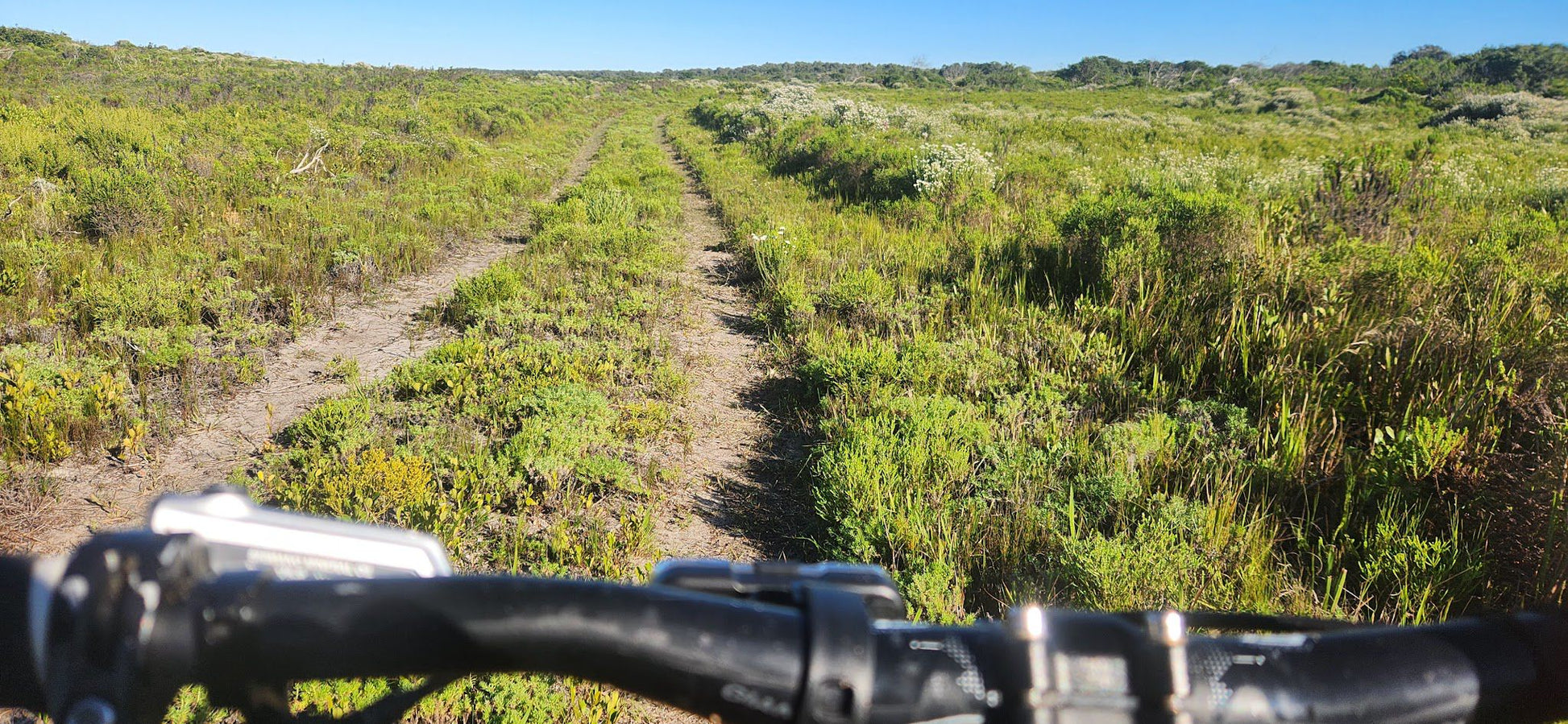  Nelson Mandela University Nature Reserve