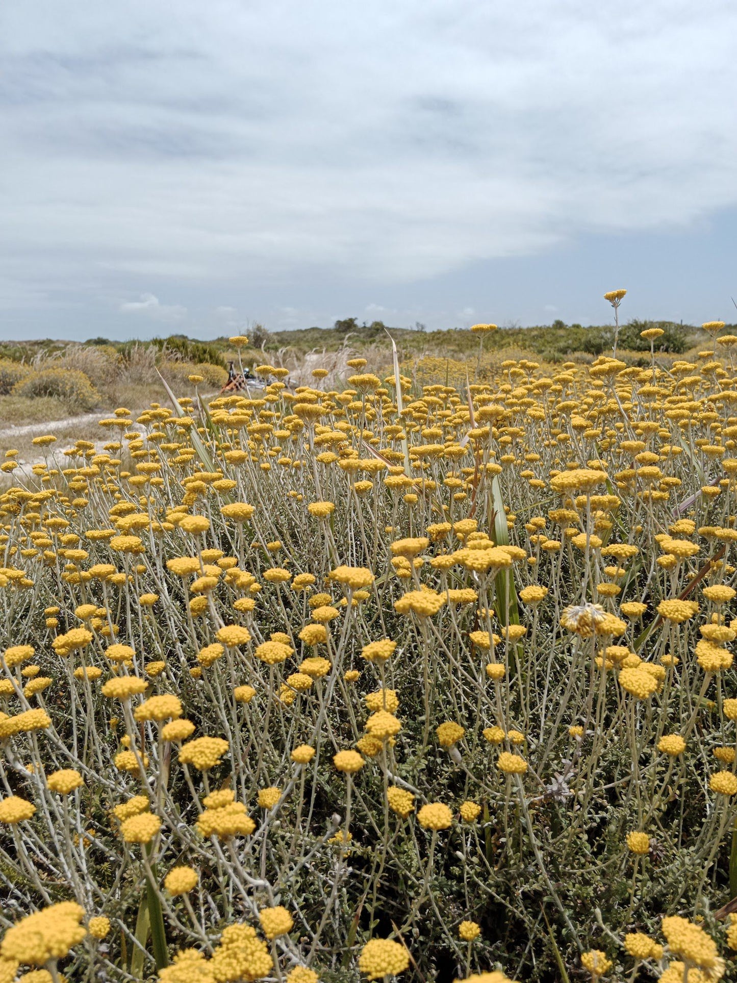  Nelson Mandela University Nature Reserve