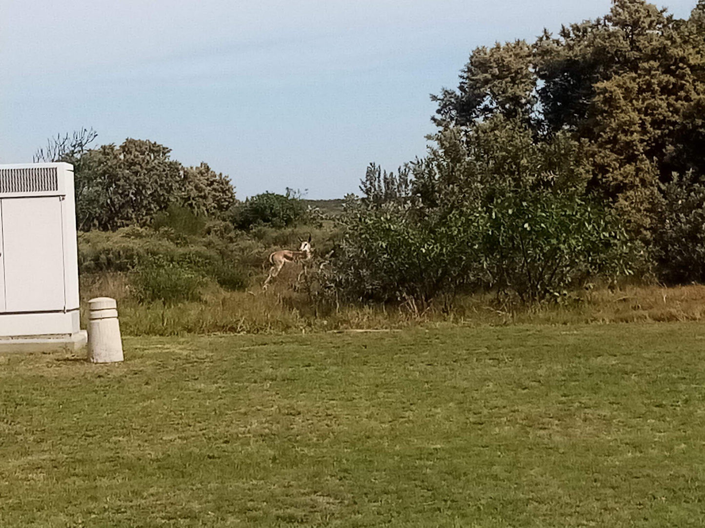  Nelson Mandela University Nature Reserve