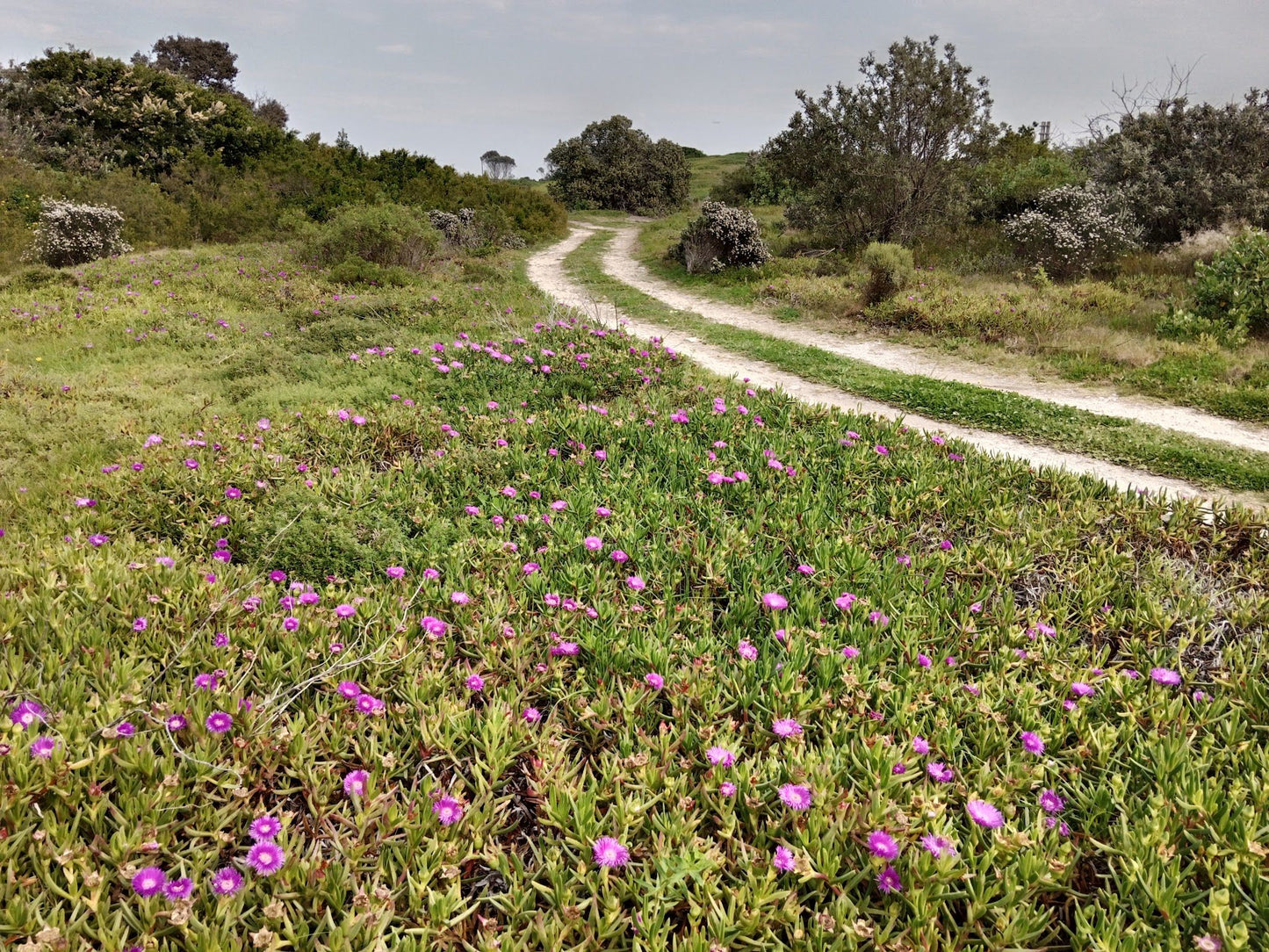  Nelson Mandela University Nature Reserve