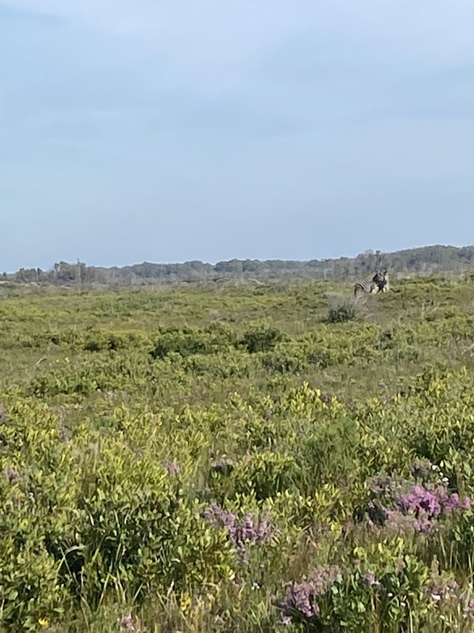  Nelson Mandela University Nature Reserve