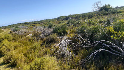  Nelson Mandela University Nature Reserve