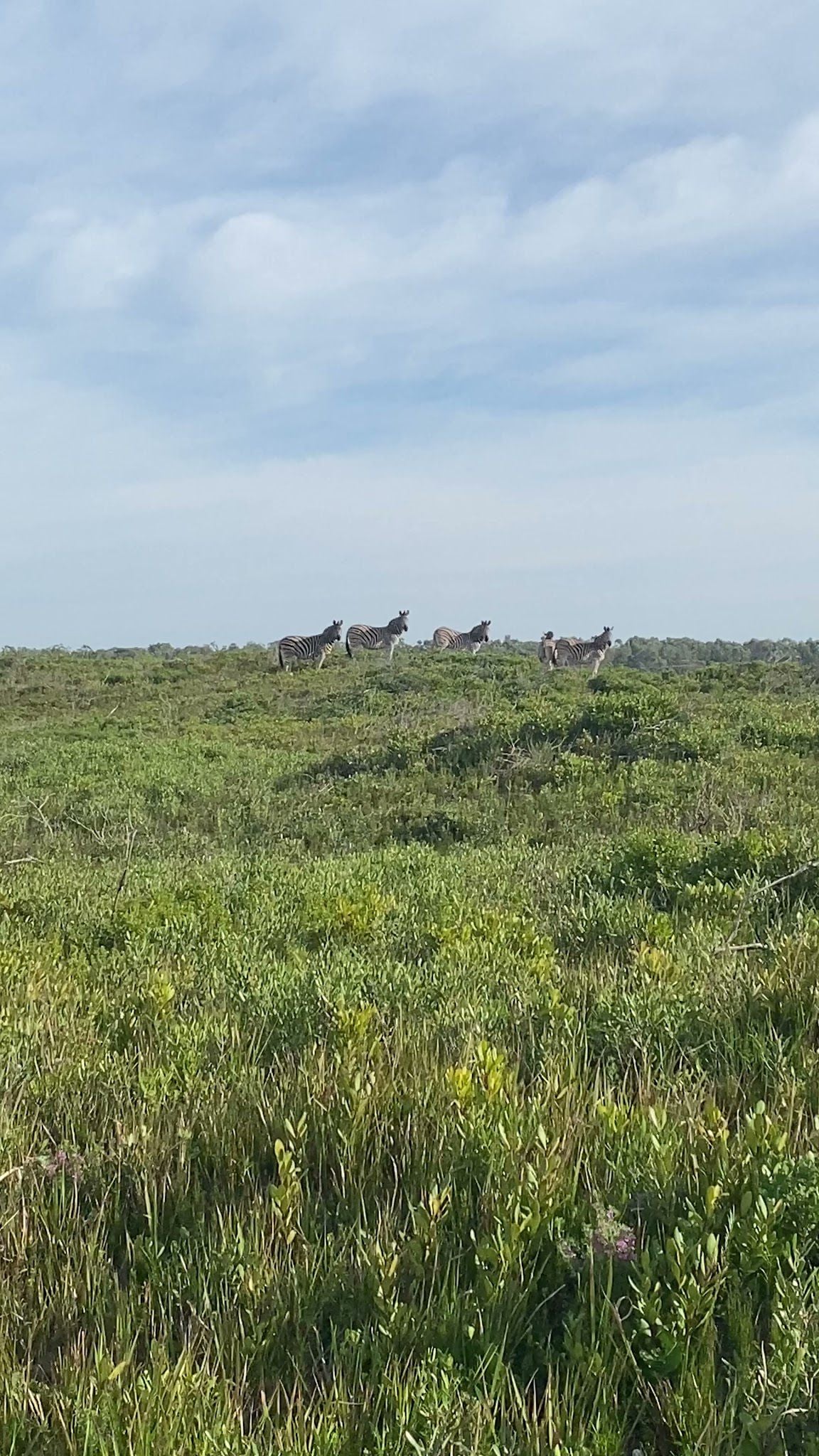  Nelson Mandela University Nature Reserve