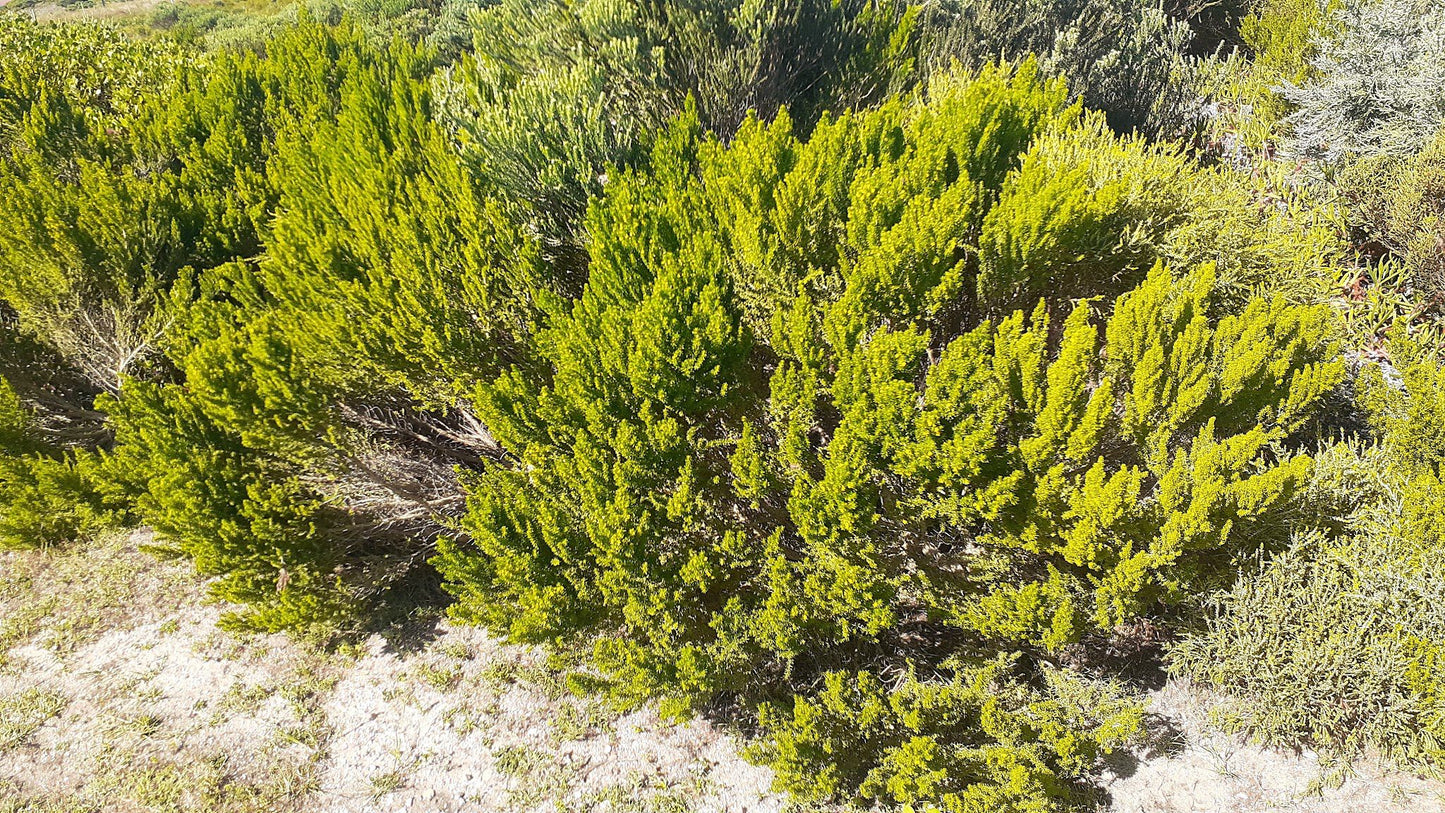  Nelson Mandela University Nature Reserve