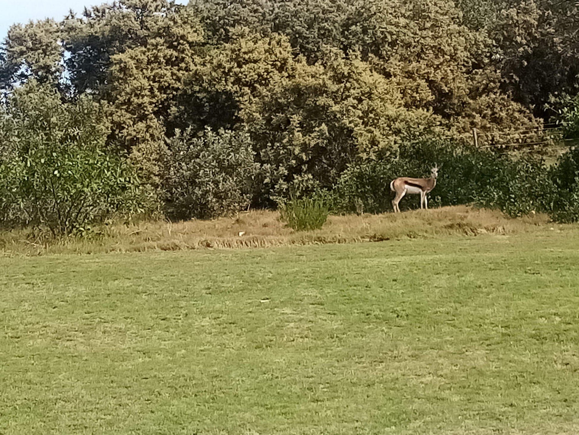  Nelson Mandela University Nature Reserve