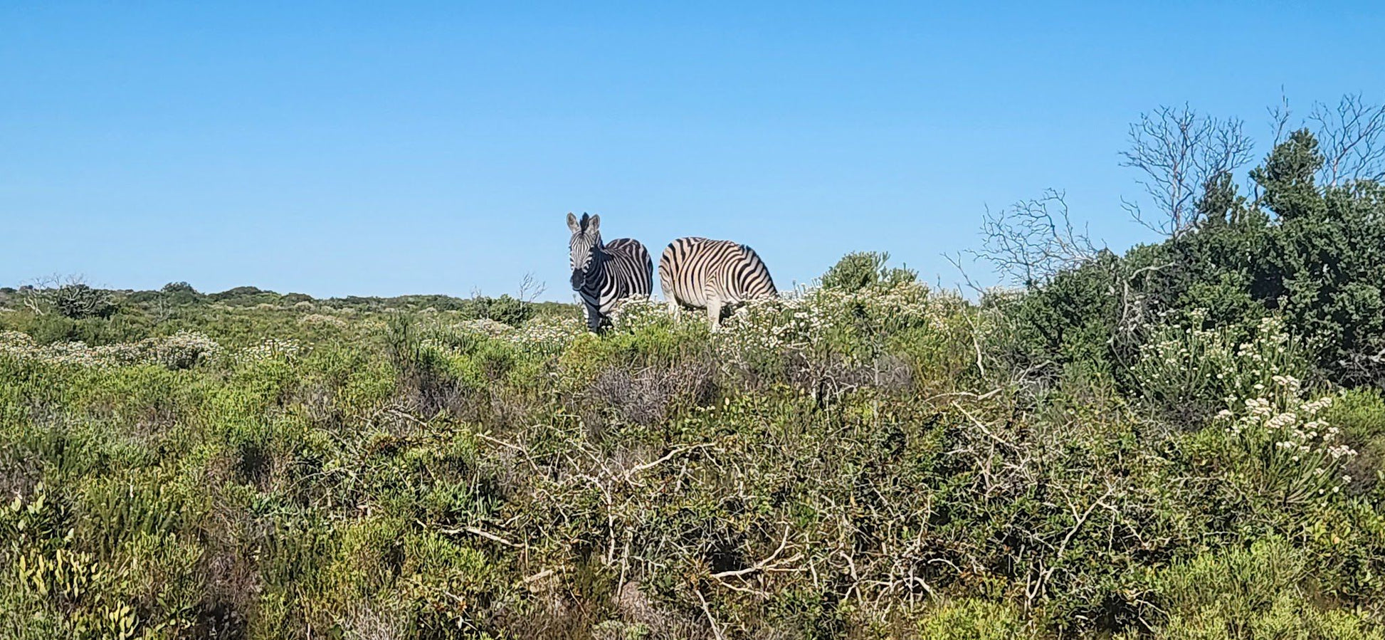  Nelson Mandela University Nature Reserve