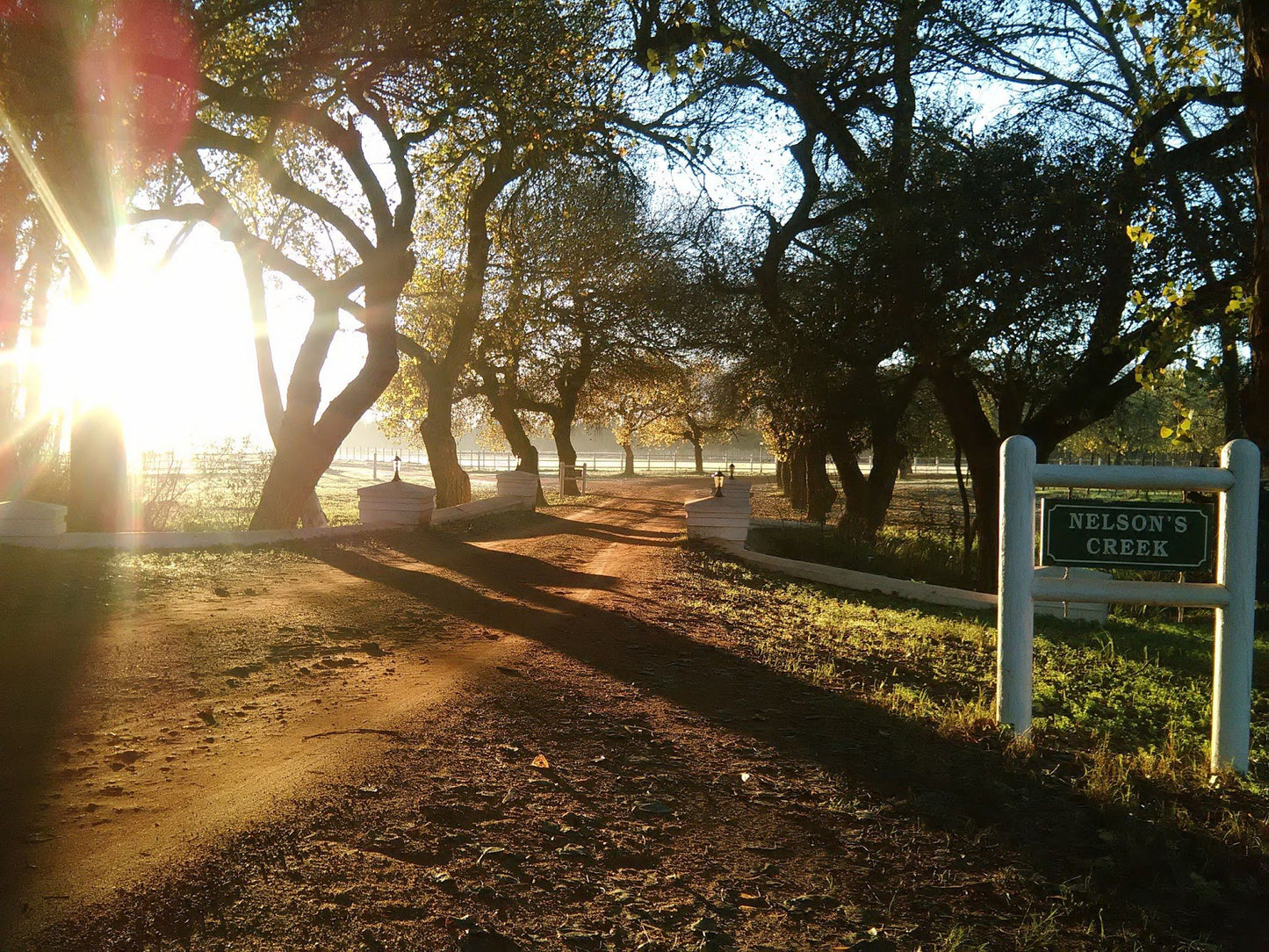  Nelson Wine Estate