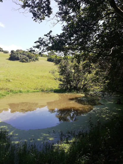  New Germany Nature Reserve