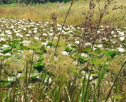  New Germany Nature Reserve