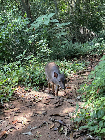  New Germany Nature Reserve