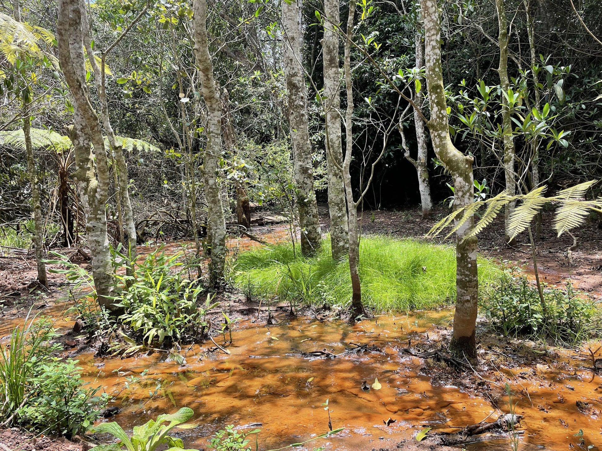  New Germany Nature Reserve