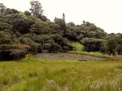  New Germany Nature Reserve