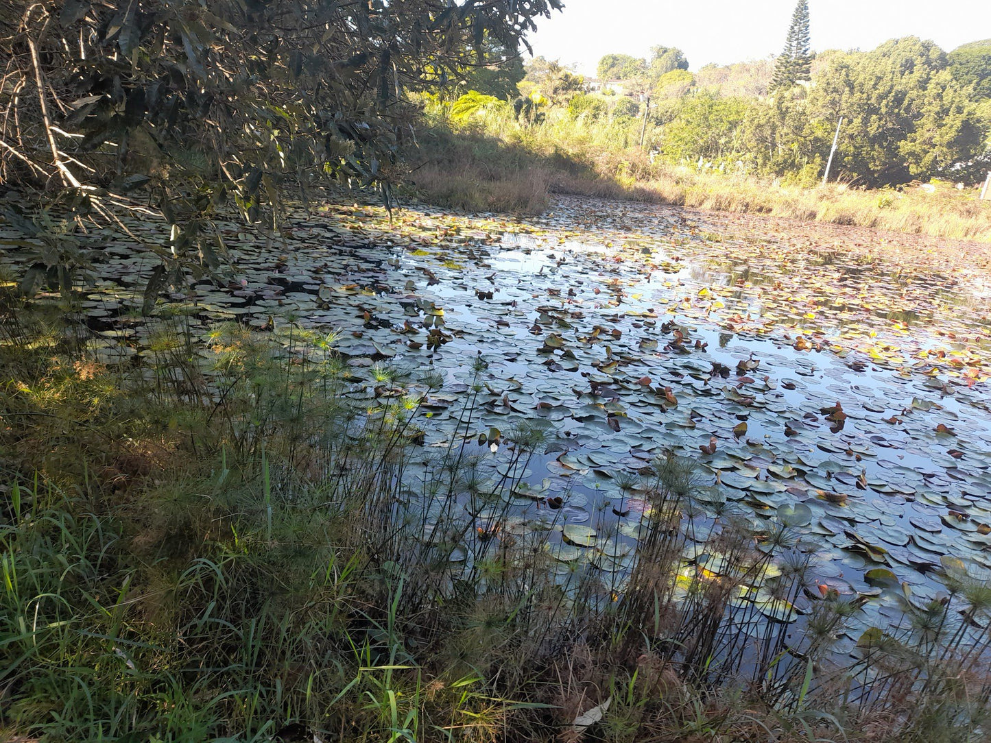  New Germany Nature Reserve