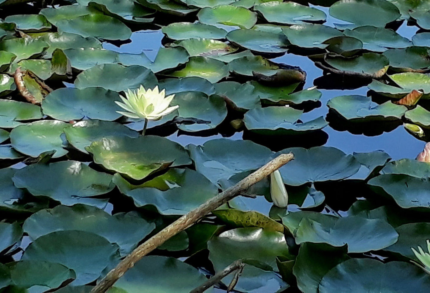  New Germany Nature Reserve