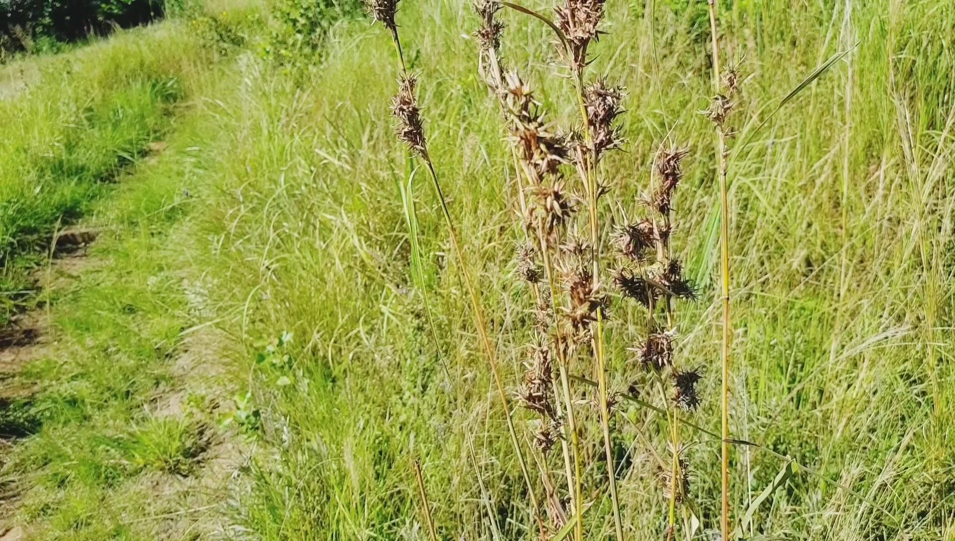  New Germany Nature Reserve