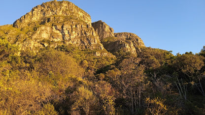 Newlands Forest Hiking Trail