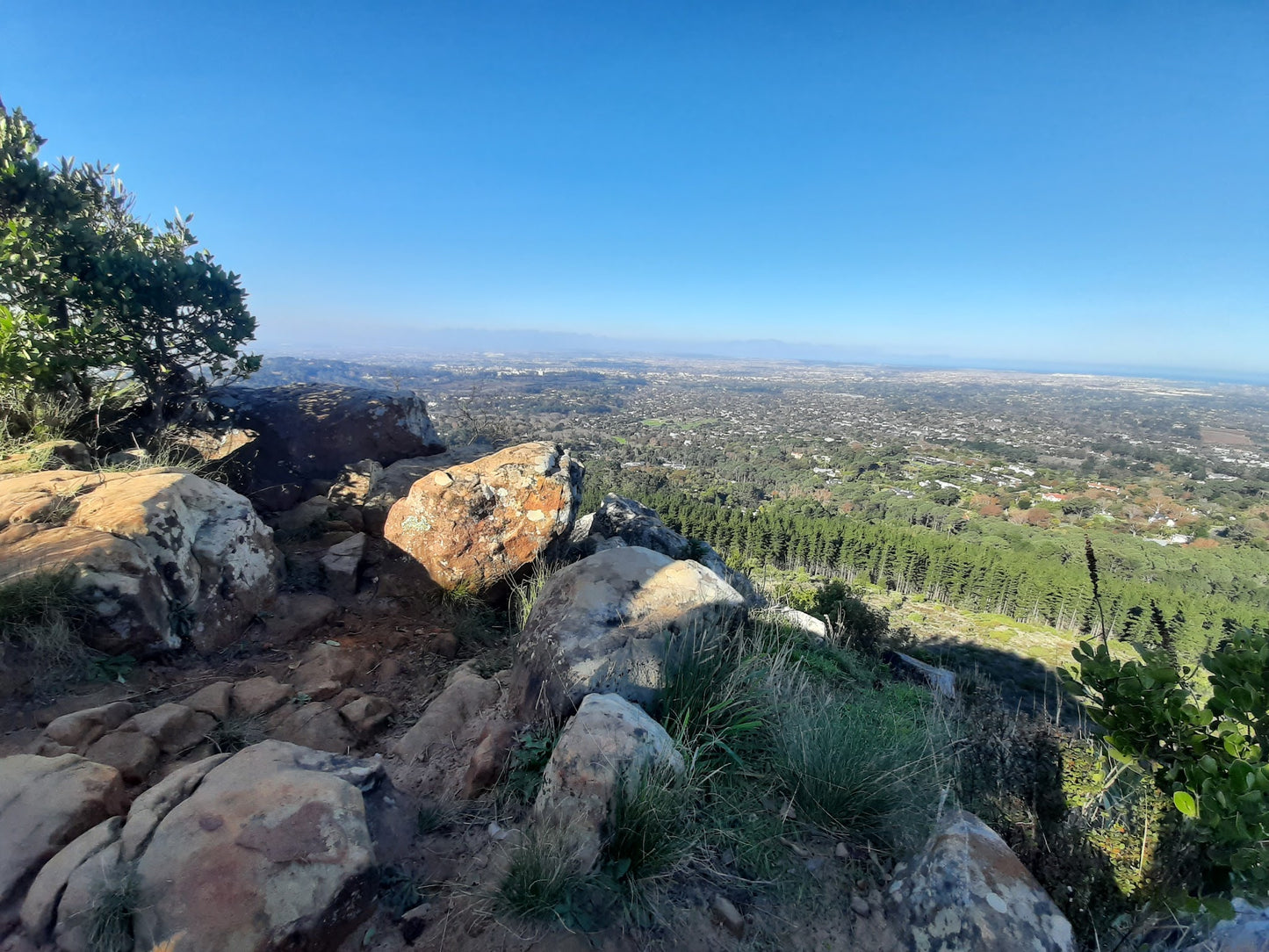 Newlands Forest Hiking Trail