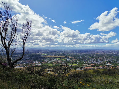 Newlands Forest Hiking Trail