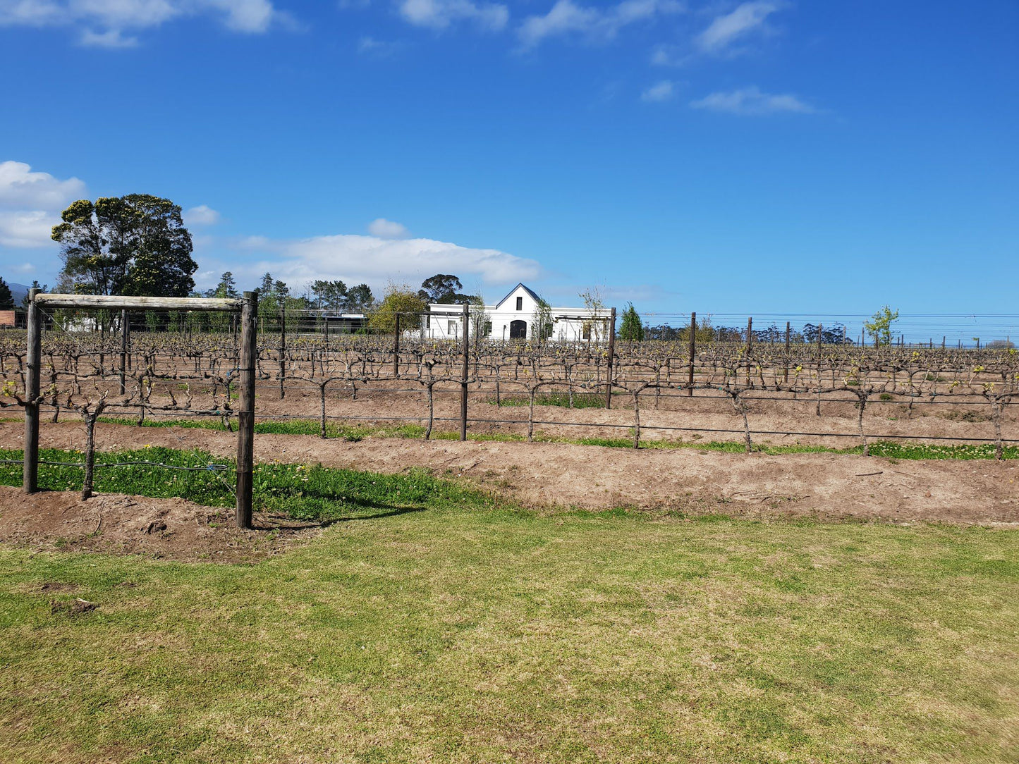  Newstead Wine Estate