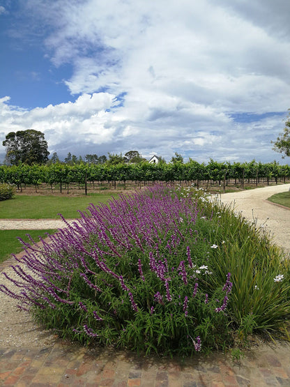  Newstead Wine Estate