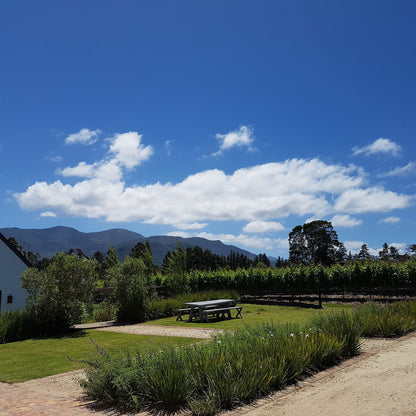  Newstead Wine Estate