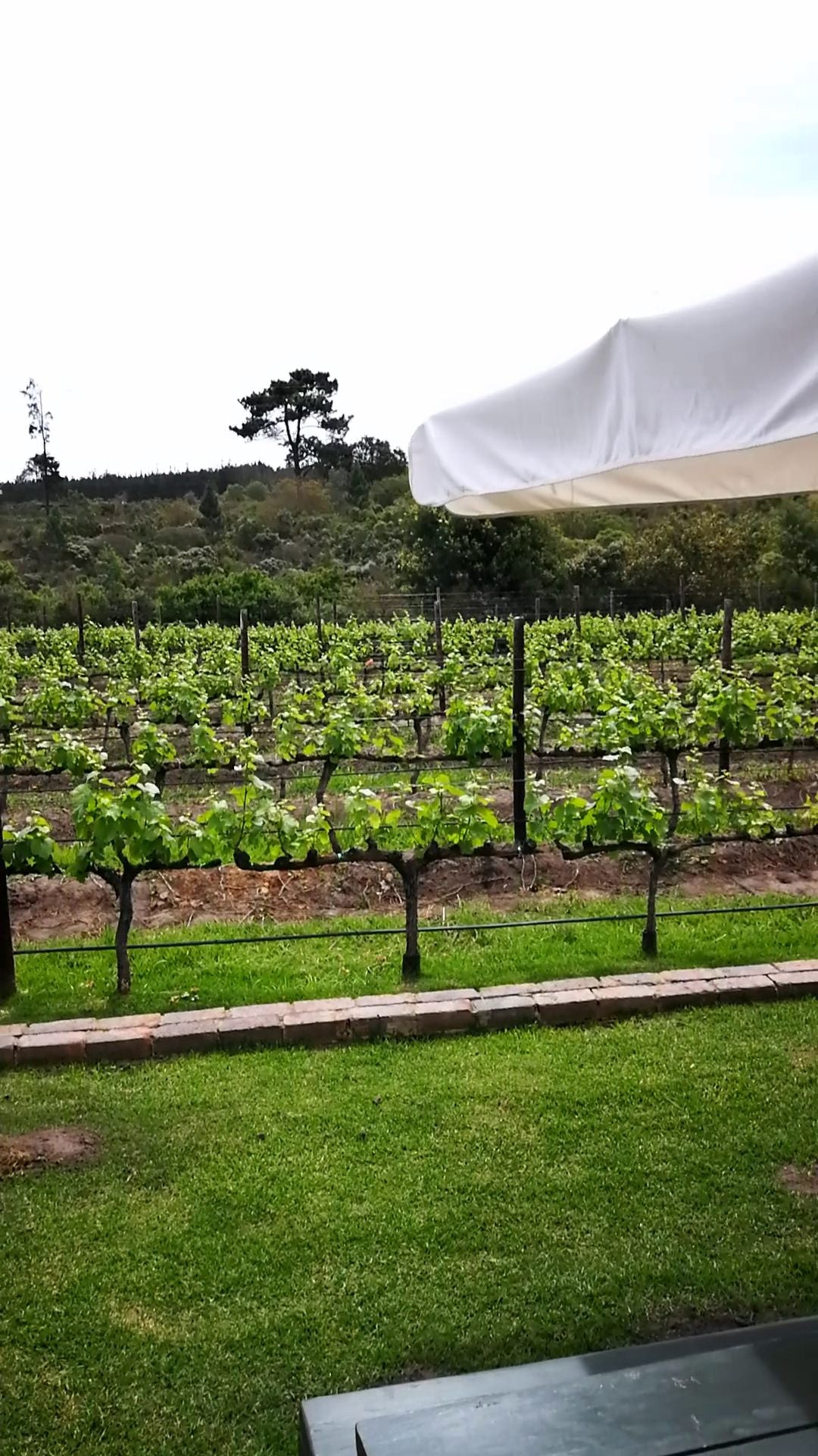  Newstead Wine Estate