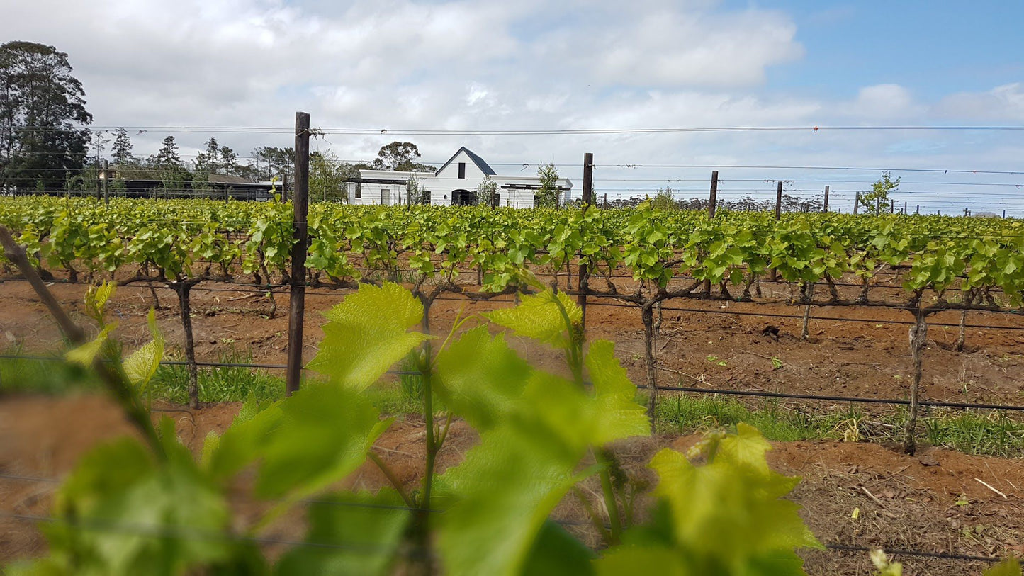  Newstead Wine Estate