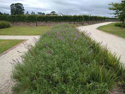  Newstead Wine Estate