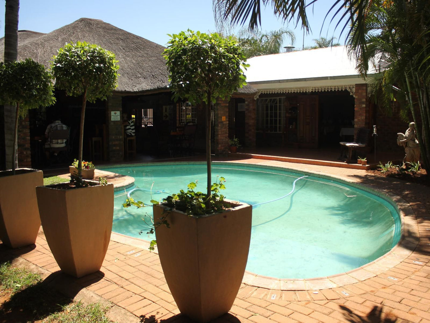 Ngwenya Boutique Hotel Lephalale Ellisras Limpopo Province South Africa Complementary Colors, Palm Tree, Plant, Nature, Wood, Swimming Pool