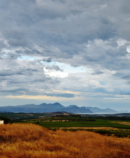  Nico van der Merwe Wines