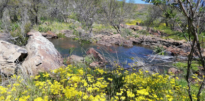  Nieuwoudtville Waterfall