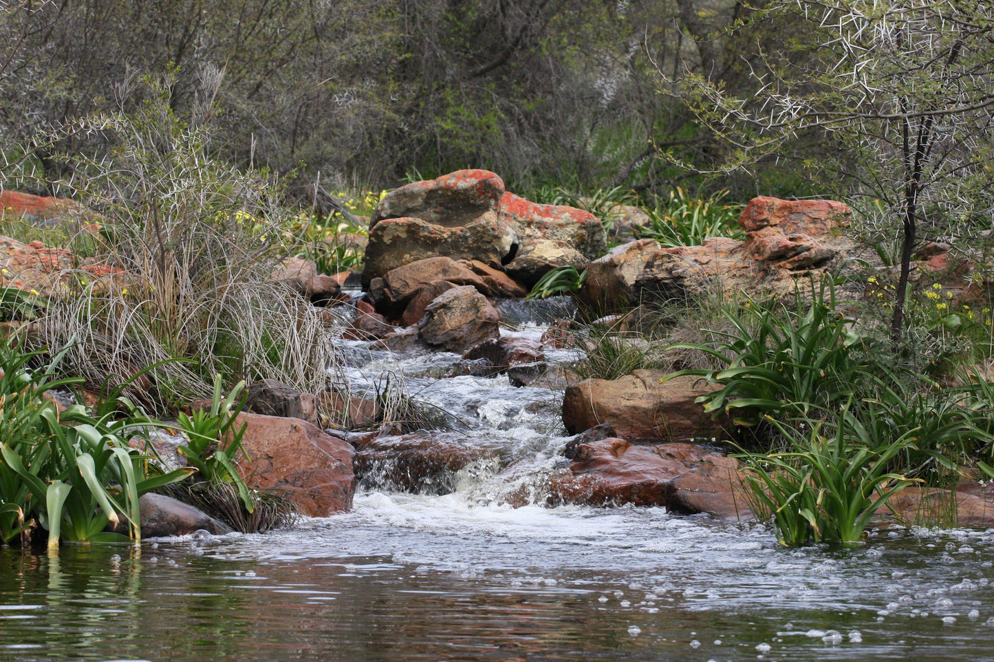  Nieuwoudtville Waterfall