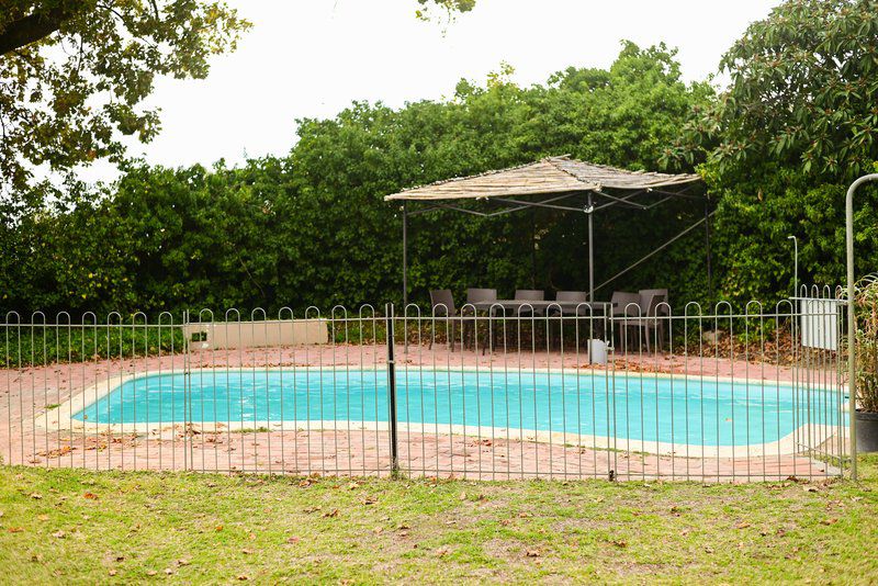 Nine Oaks Self Catering Accommodation And Venue Paarl Western Cape South Africa Garden, Nature, Plant, Swimming Pool
