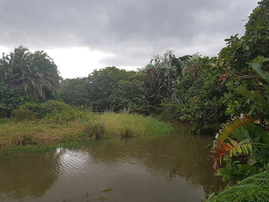  Nkomba Site of Conservation Significance (Pennington Conservancy)